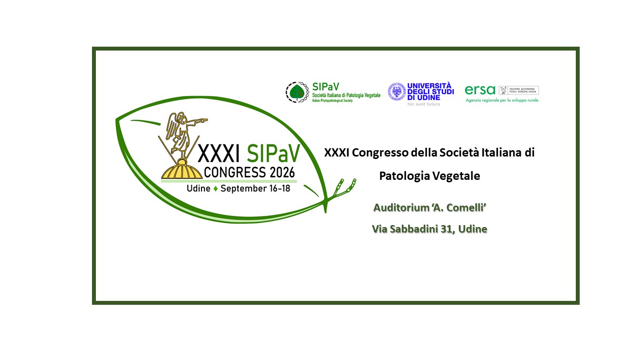 XXXI Congresso SIPaV